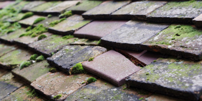 Wothorpe roof repair costs